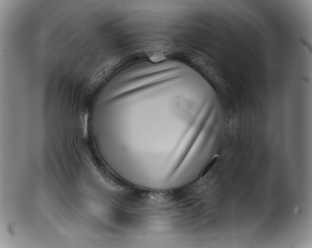 X0000099970070200806061639