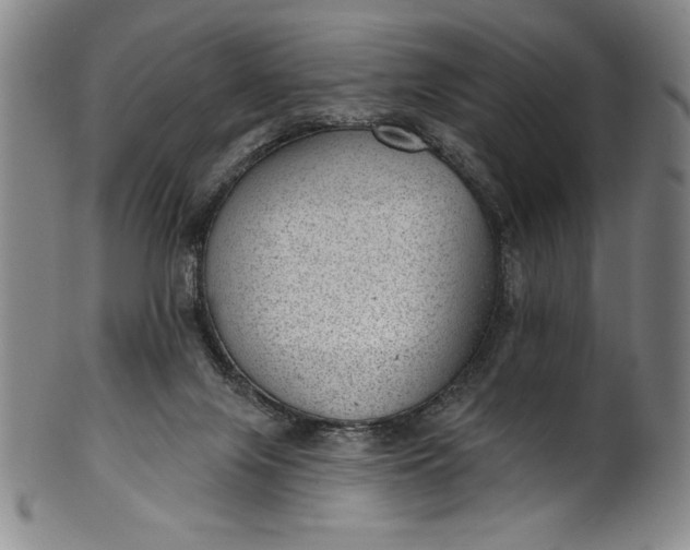 X0000099970071200806061639