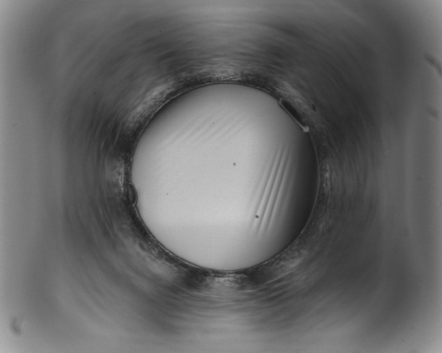 X0000099970072200806061639