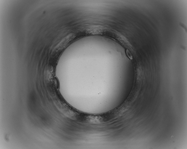 X0000099970073200806061639