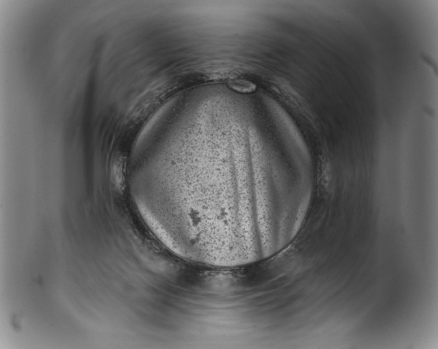 X0000099970074200806061640