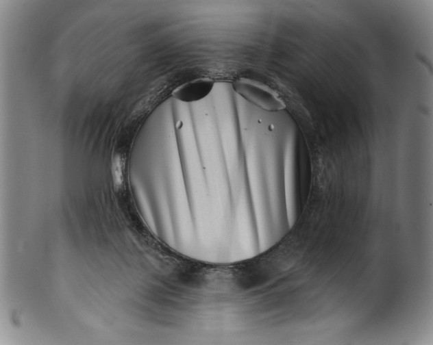 X0000099970075200806061640