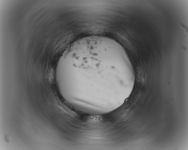 X0000099970077200806061640