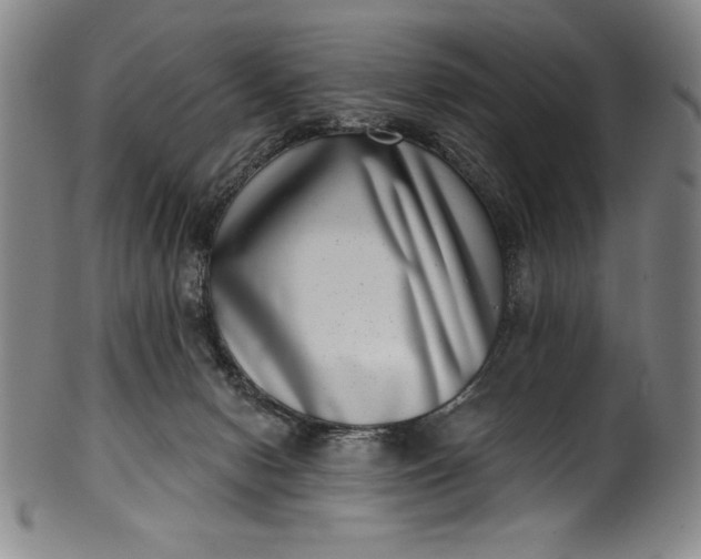 X0000099970078200806061640