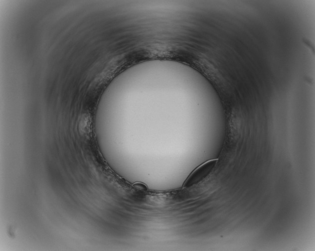 X0000099970079200806061640