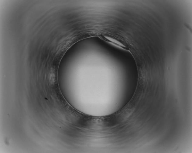 X0000099970080200806061640