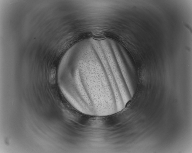 X0000099970082200806061640