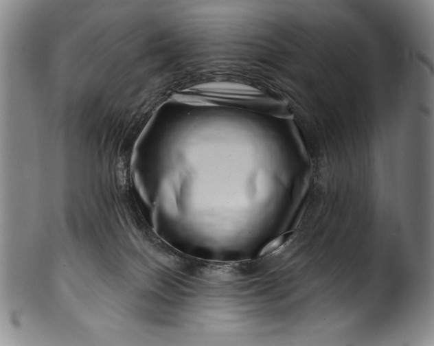 X0000099970086200806061640