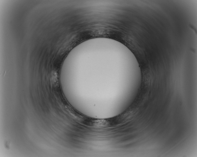 X0000099970087200806061640