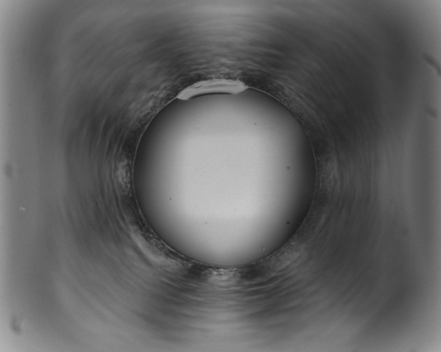 X0000099970088200806061640