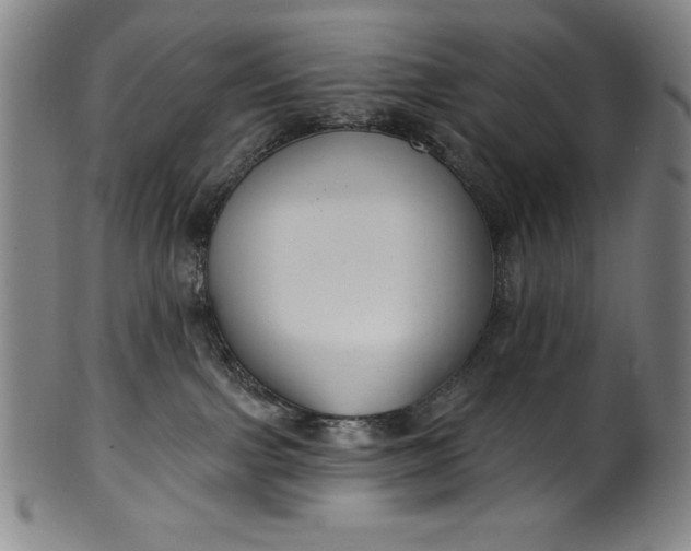 X0000099970091200806061640