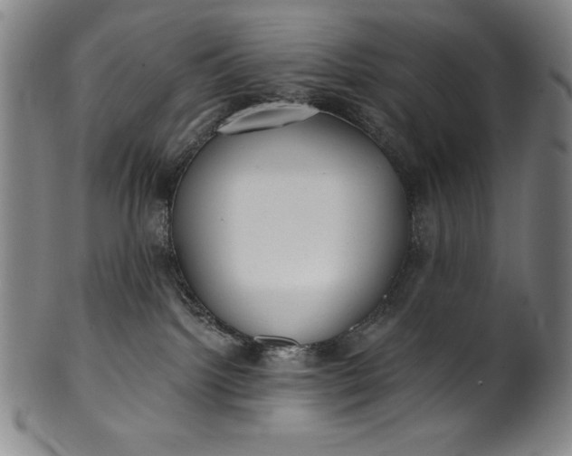 X0000099970092200806061640