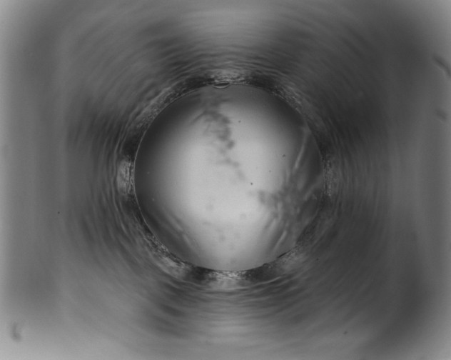 X0000099970093200806061640