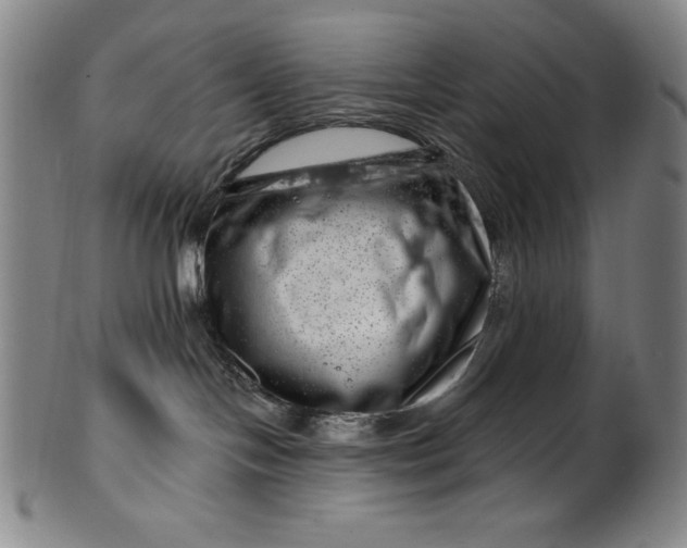 X0000099970094200806061640