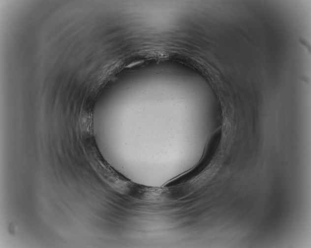 X0000099970096200806061640