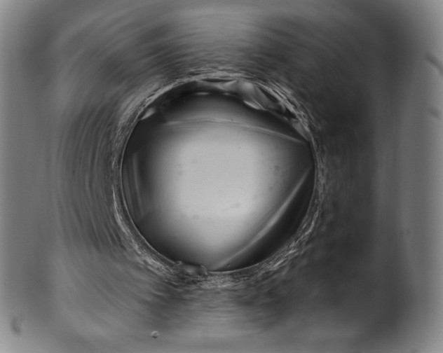 X0000099970097200806061639