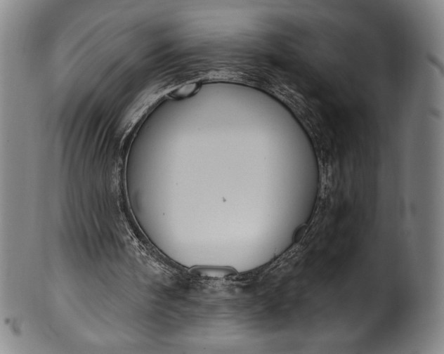 X0000099970098200806061639