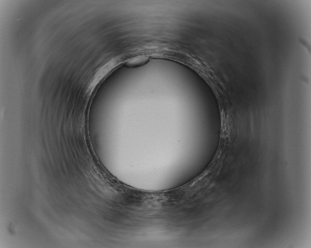 X0000099970099200806061639