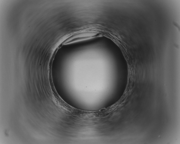 X0000099970100200806061639