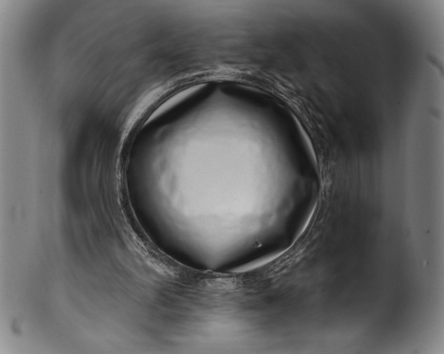 X0000099970102200806061639