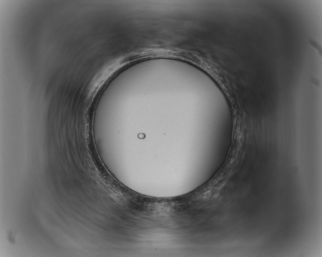 X0000099970103200806061639