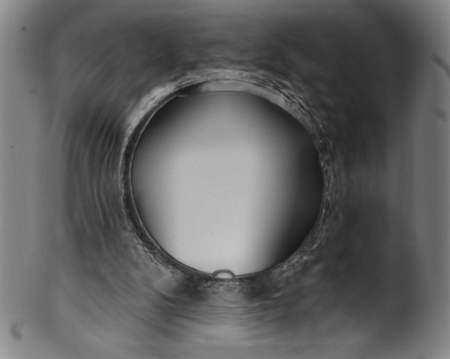 X0000099970104200806061639