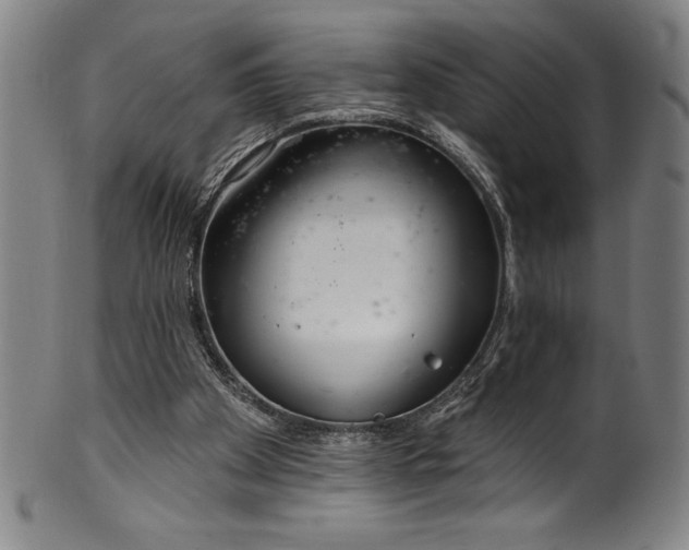 X0000099970105200806061639