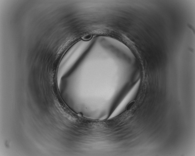 X0000099970106200806061639