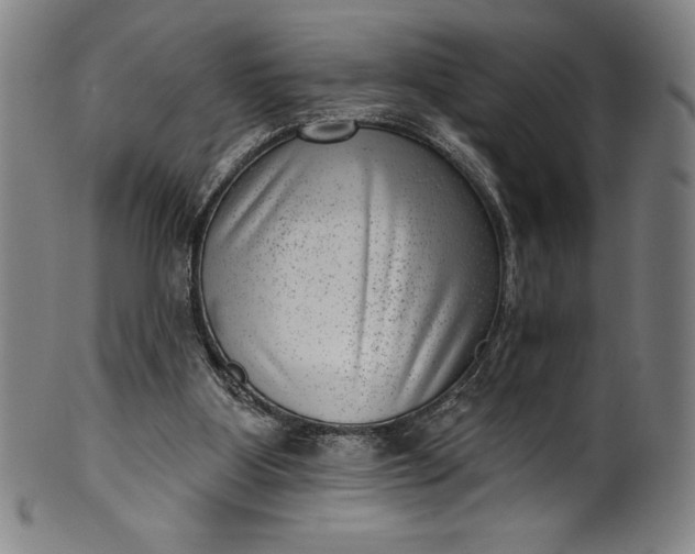 X0000099970107200806061639