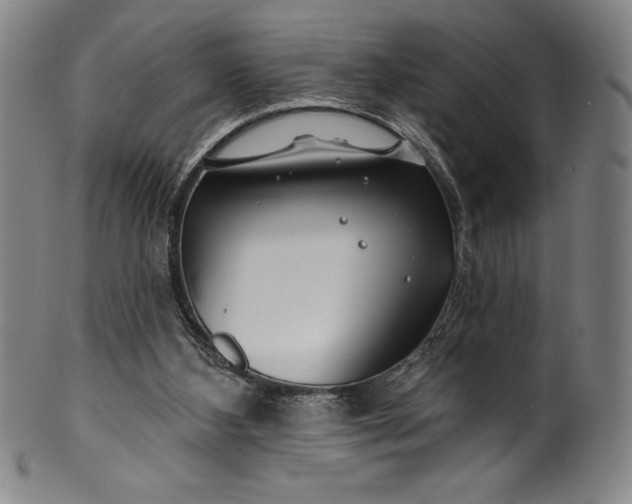 X0000099970108200806061639