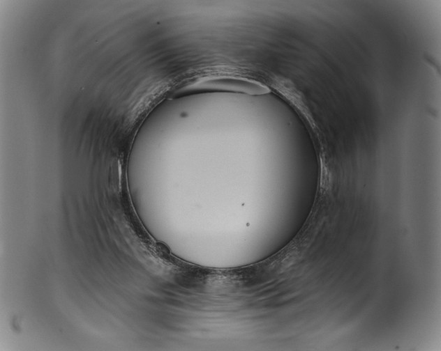 X0000099970109200806061639