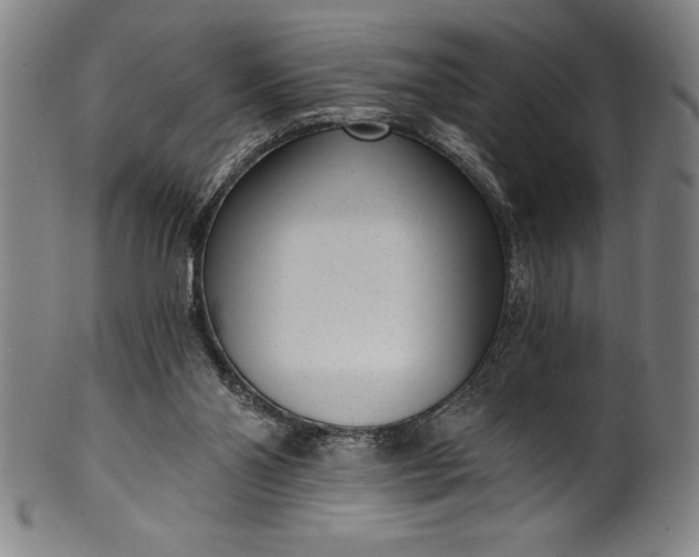 X0000099970110200806061639