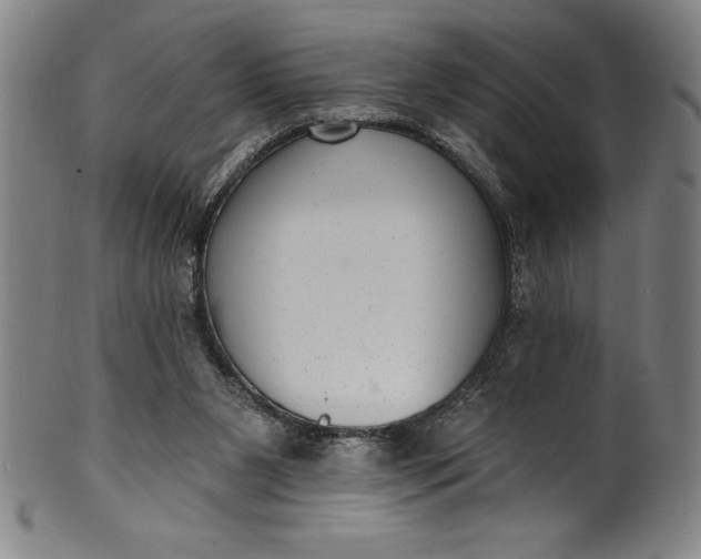 X0000099970111200806061639