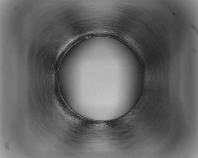 X0000099970112200806061639