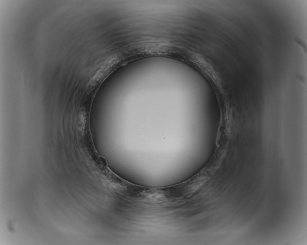 X0000099970113200806061639