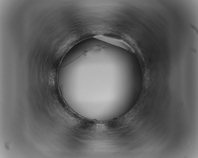 X0000099970114200806061639