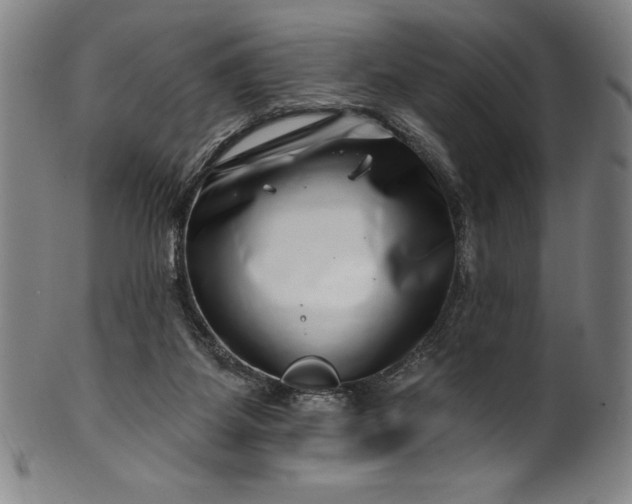 X0000099970115200806061639