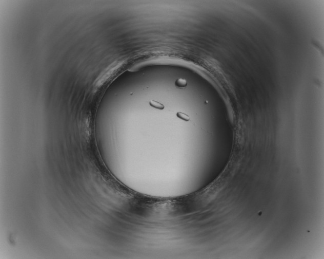 X0000099970116200806061639