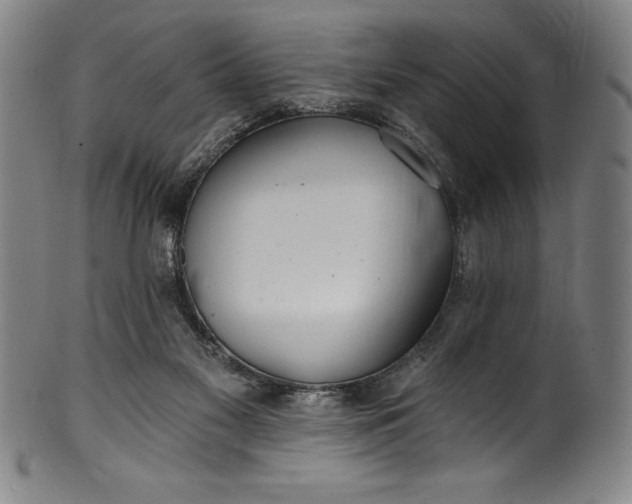 X0000099970117200806061639