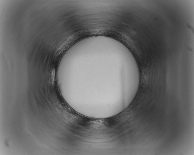 X0000099970118200806061639