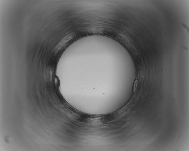 X0000099970120200806061639