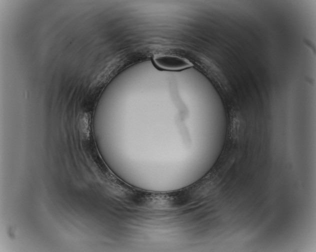 X0000099970121200806061639