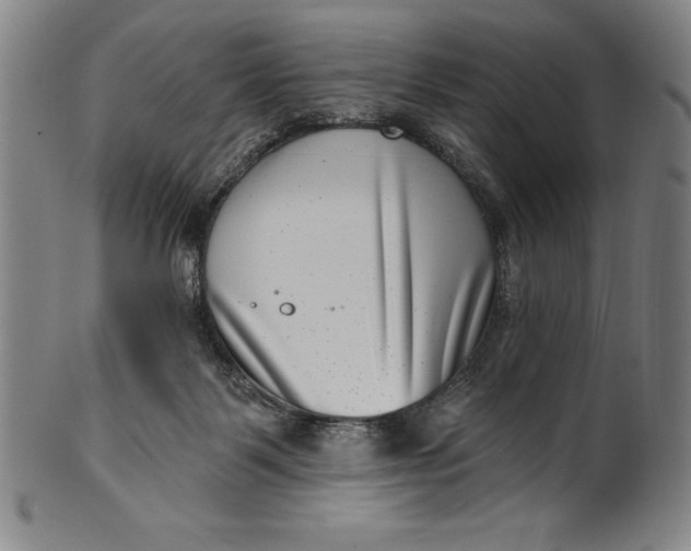 X0000099970123200806061639