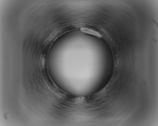 X0000099970124200806061639