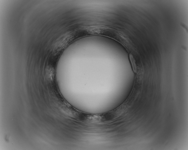 X0000099970125200806061639