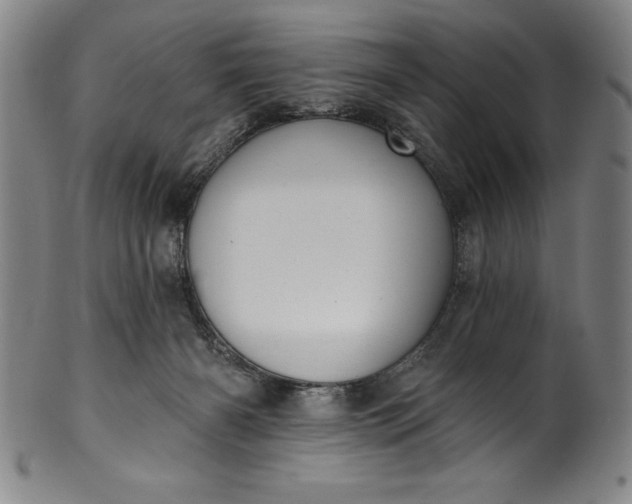 X0000099970126200806061639