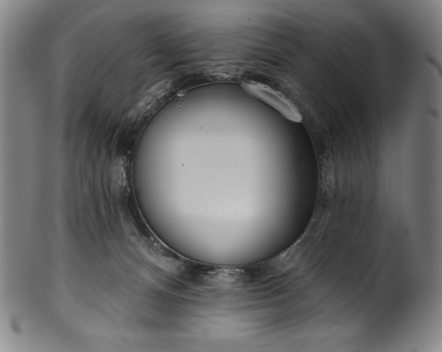 X0000099970128200806061639