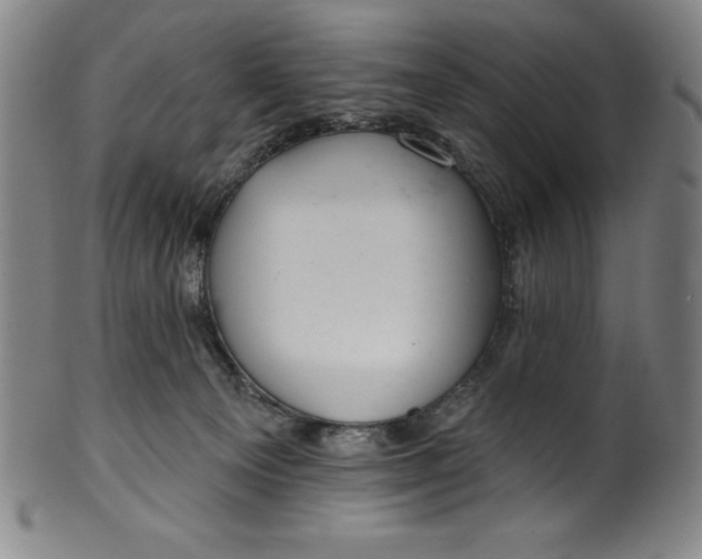 X0000099970129200806061639