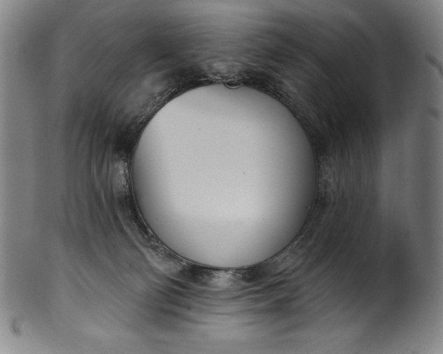 X0000099970130200806061639