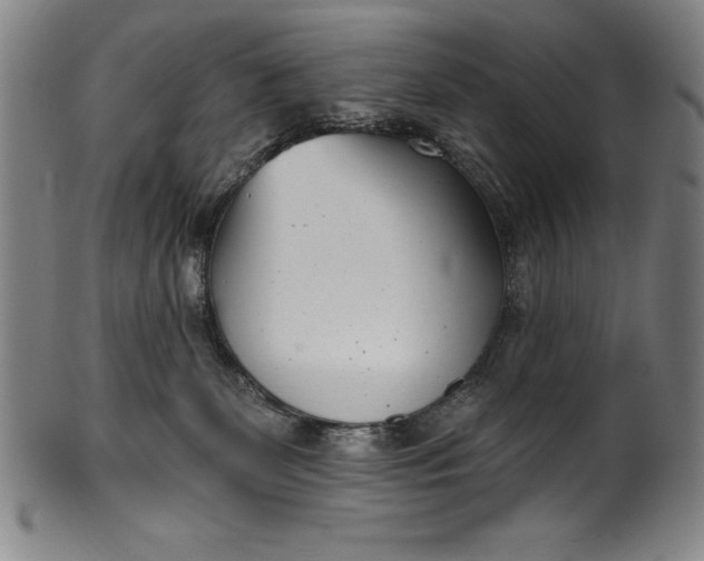 X0000099970131200806061639